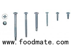 PHILLIPS CSK HEAD SELF TAPPING SCREW