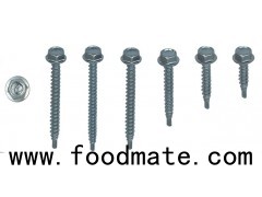 HEX WASHER HEAD SELF DRILLING SCREW