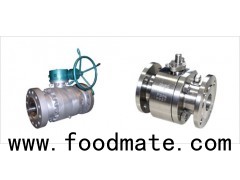 Forged High Pressure Hydraulic Forged Steel Nuclear Valves