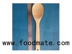 Bamboo Spoon