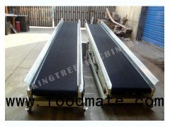 Coconut Conveyor Machine