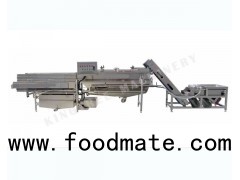 Olive Sorting And Cleaning Machine