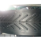 Olive Conveyor Machine