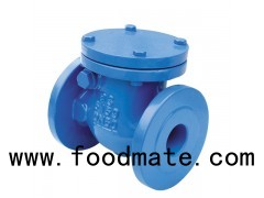 Cast Iron Swing Check Valves