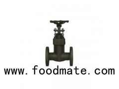 Flange End Integral Forged Steel Gate Valve