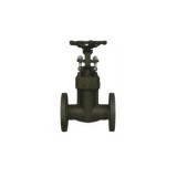 Flange End Integral Forged Steel Gate Valve