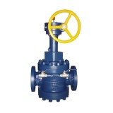 Orbit Plug Valve