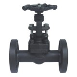 Screwed End Forged Steel Gate Valve