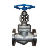 Cast Stainless Steel Globe Valves