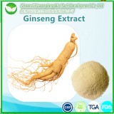 Ginseng Root Extract