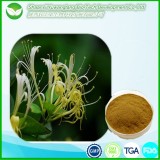 Honeysuckle Flower Extract