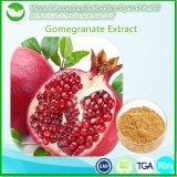 Pomegranate Extract