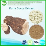Poria Cocos Extract