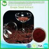 Grape Seed Extract