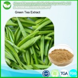 Green Tea Extract