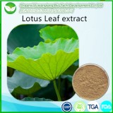 Lotus Leaf Extract