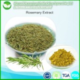 Rosemary Extract