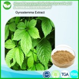 Gynostemma Extract