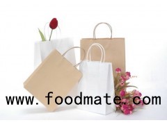Paper Carrier Bag, Customized Specifications are Accepted, OEM and ODM Welcomed