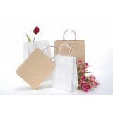Paper Carrier Bag, Customized Specifications are Accepted, OEM and ODM Welcomed