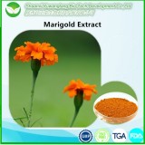 Marigold Extract