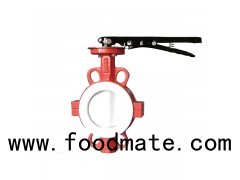 Fully PTFE Lined Wafer Butterfly Valve