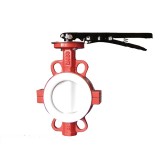 Fully PTFE Lined Wafer Butterfly Valve