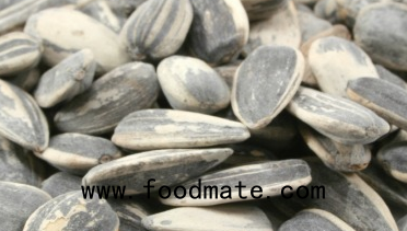 sunflower  seeds