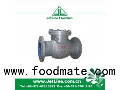 Check Valve