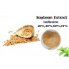 Soybean Extract Soy Isoflavone