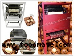 Macadamia Nut Cutting Machine