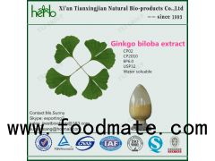 Ginkgo biloba leaf extract powder