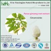 factory supplying ginseng extract Ginsenosides