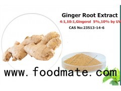 Ginger Root Extract Gingerols,ginger instant powder