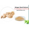 Ginger Root Extract Gingerols,ginger instant powder