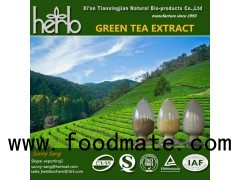 Green tea extract powder