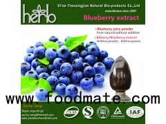 BLUEBERRY/BILBERRY EXTRACT POWDER