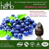 BLUEBERRY/BILBERRY EXTRACT POWDER