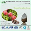 Rhodiola Rosea Root Extract  Salidroside, Rosavin