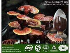 Ganoderma Lucidum sporocarp Extract