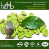 Green coffee bean extract Chlorognic acids 50% HPLC