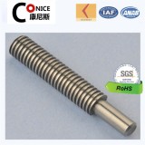 Screw Shaft