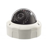 SD Card Supported PTZ Monitor IP Dome Camera