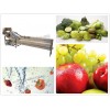 Fruit and Vegetable Bubble Washing Machine