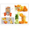 Automatic Orange Juice Extractor