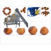 1000 kg/h Hazelnut Shelling & Separating Machine