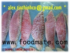 frozen emperor fillet, red mullet portion, indian mackerel, round scad