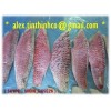 frozen emperor fillet, red mullet portion, indian mackerel, round scad
