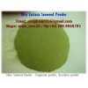 dried ulva lactuca powder for feed