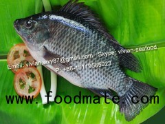 Offer China Frozen Black Tilapia Fish (Oreochromis Niloticus) for sale
